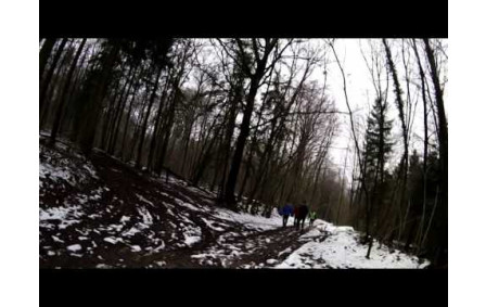 Sortie Trail du 31 Dec 2014